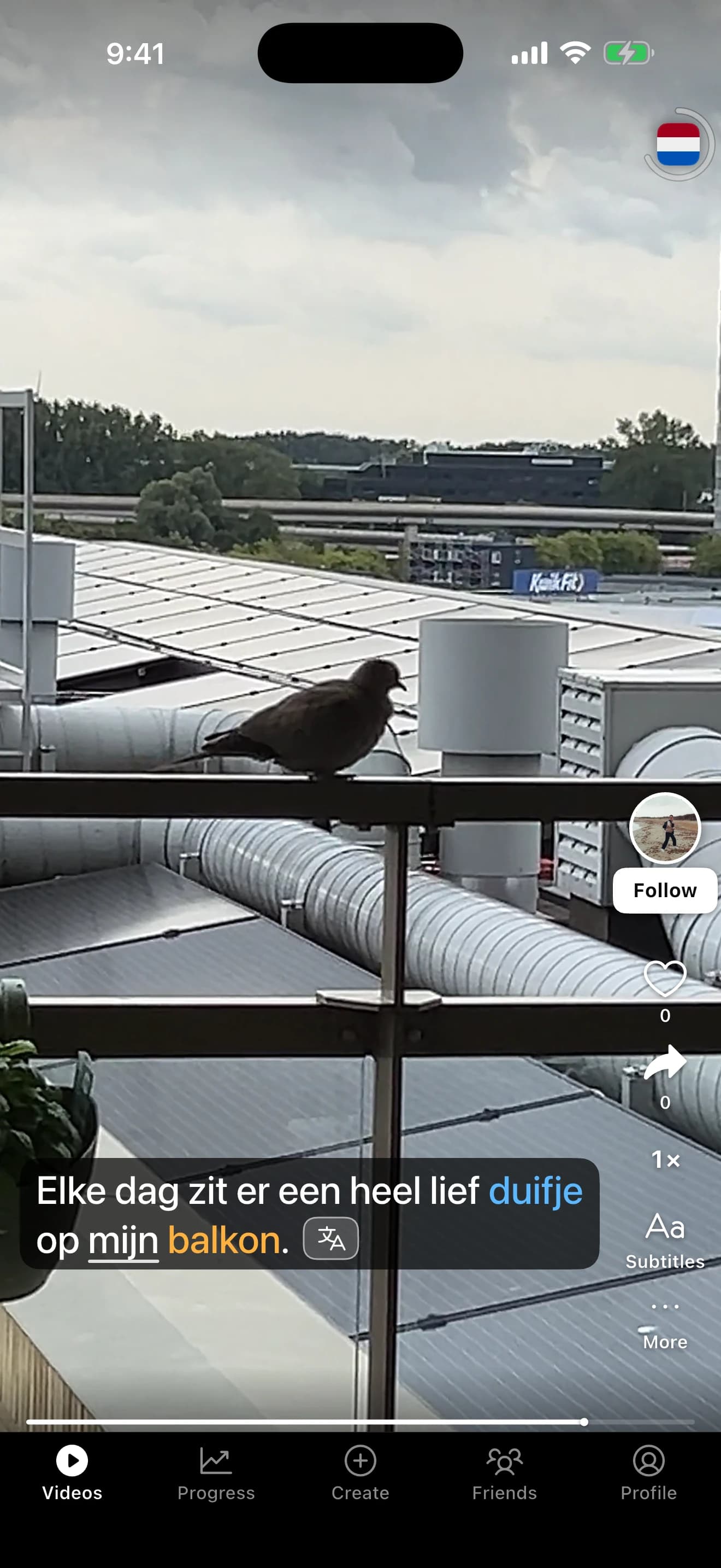 A Dutch video of a dove on a balcony railing, with “duifje” marked blue and “balkon” marked amber in the subtitles